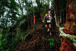 BIB: 
                            <button type="button" onclick="openModal(26198110)" class="btn btn-primary btn-sm float-right btn-popup" data-toggle="modal" data-target=".modal-high-quality">
                        <i class="fas fa-shopping-cart"></i> Add to Cart
                    </button>
                                            <button type="button" onclick="isThisMe(26198110, true)" class="btn btn-success btn-sm float-right btn-popup btn-isme hidden" data-toggle="tooltip" data-placement="bottom" title="นี่คือรูปของคุณใช่ไหม คลิกที่นี่เพื่อเอาเข้าอัลบั้ม">
                        <i class="fas fa-plus"></i> Add to album
                    </button>
                    <button type="button" onclick="isThisMe(26198110, false)" class="btn btn-warning btn-sm float-right btn-popup btn-isnotme hidden">
                        <i class="fas fa-ban"></i> Remove from album
                    </button>